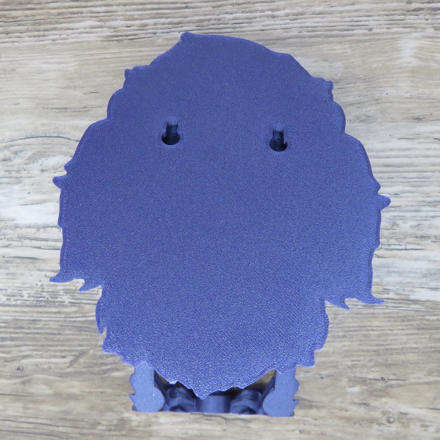 Lion Door Knocker