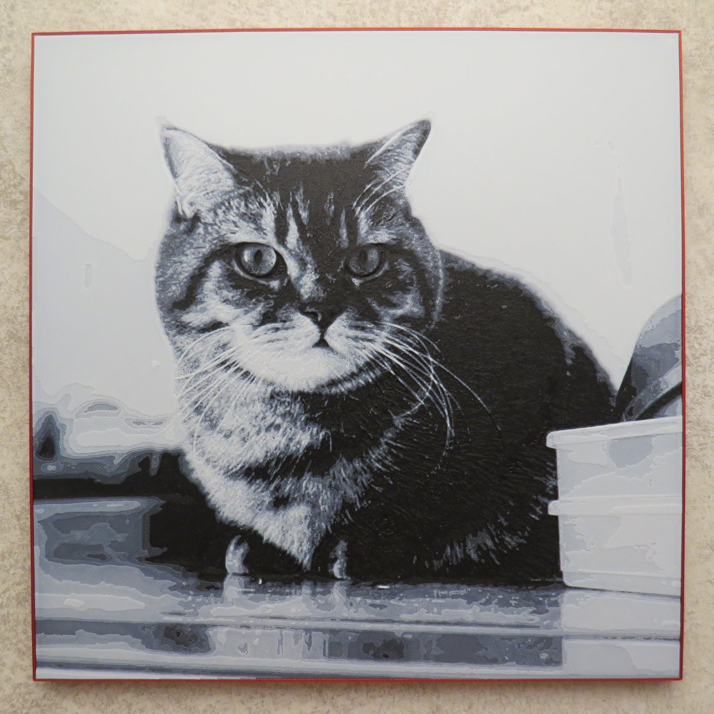 Custom 3D-Printed Photo