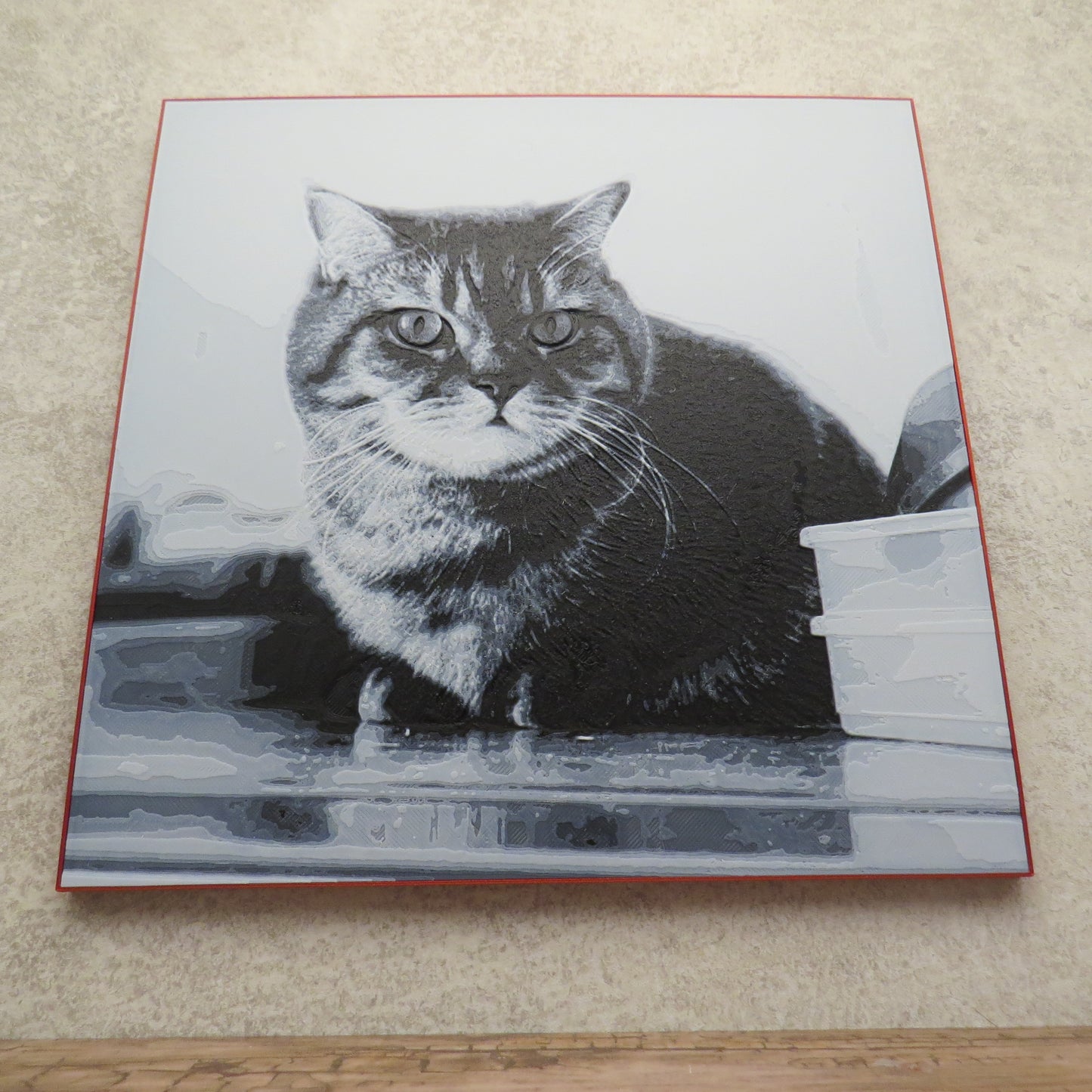 Custom 3D-Printed Photo