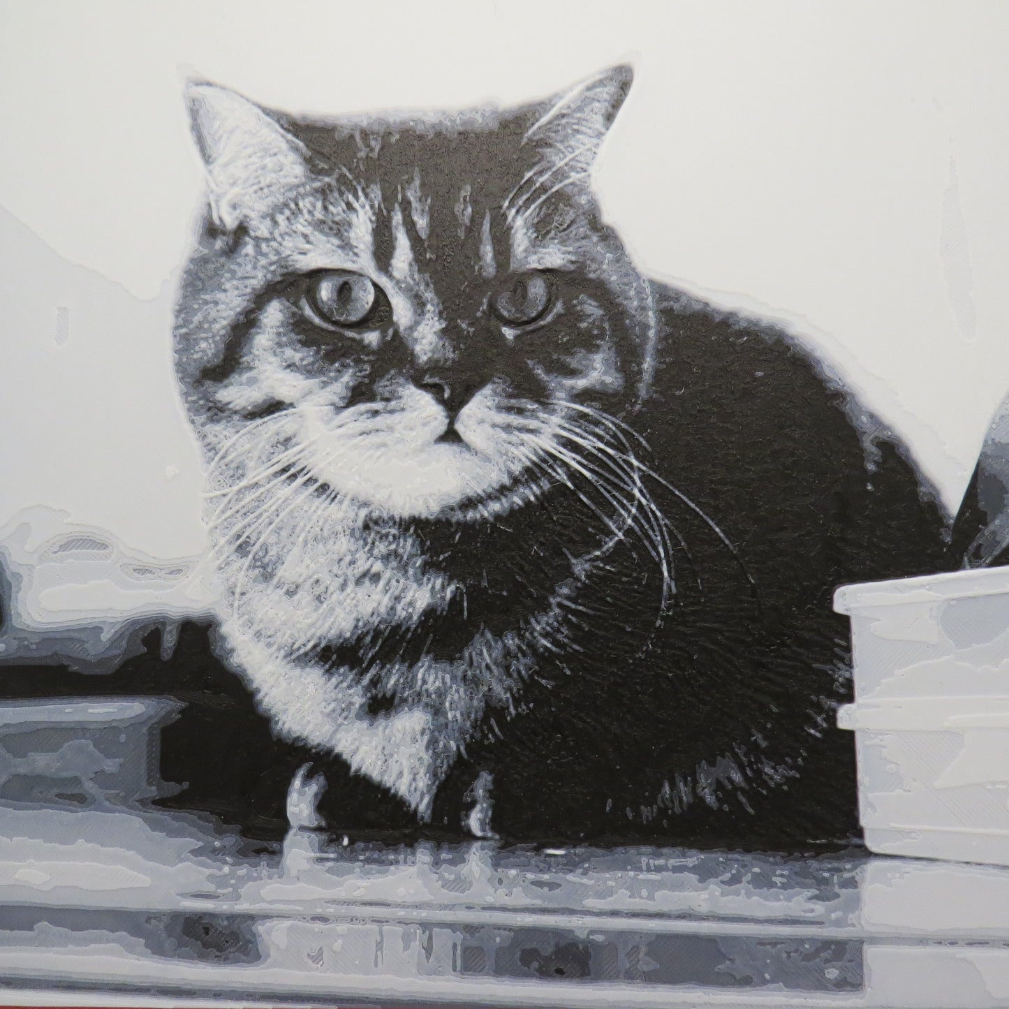 Custom 3D-Printed Photo