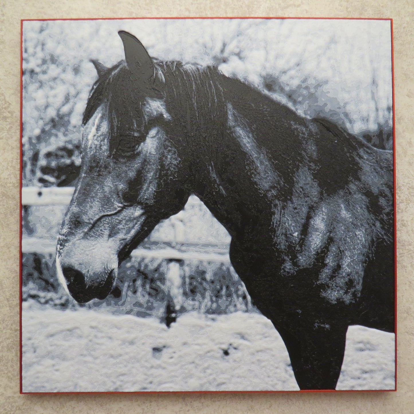 Custom 3D-Printed Photo