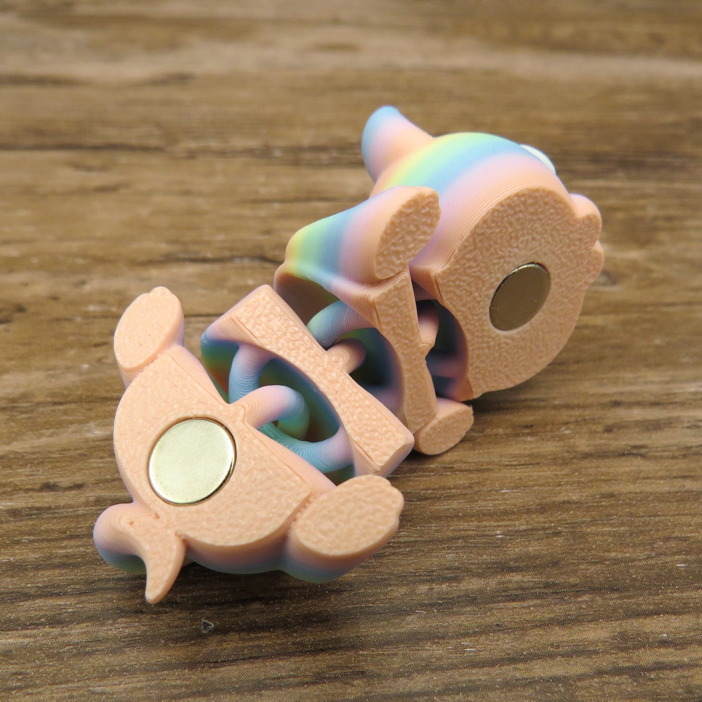 Kitty and Shark Magnet Fidget
