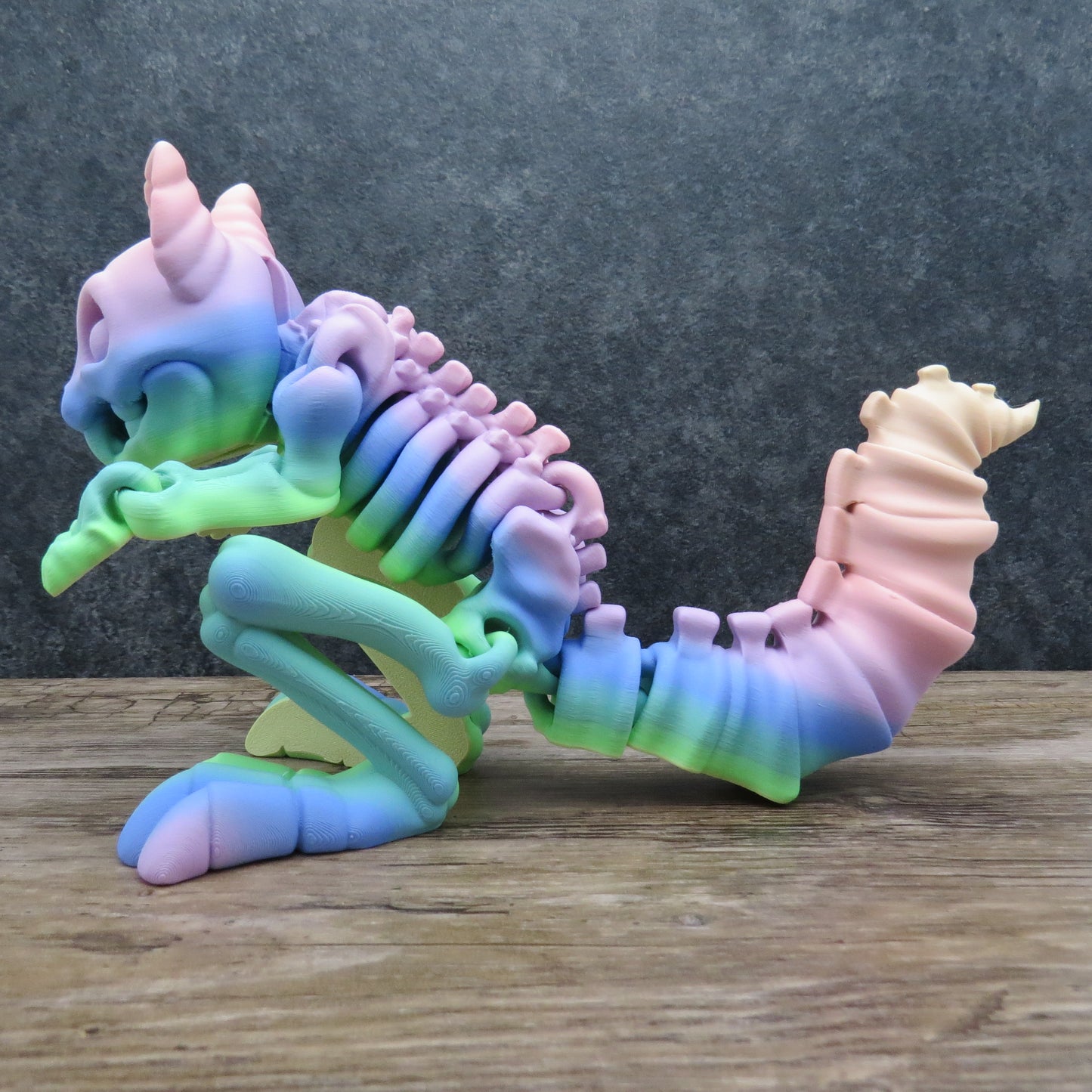 Articulated Rainbow Squirrel Skeleton