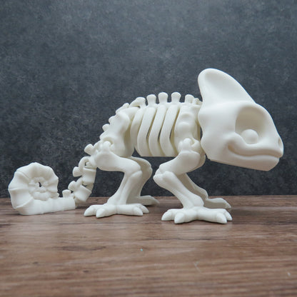 Articulated Chameleon Skeleton