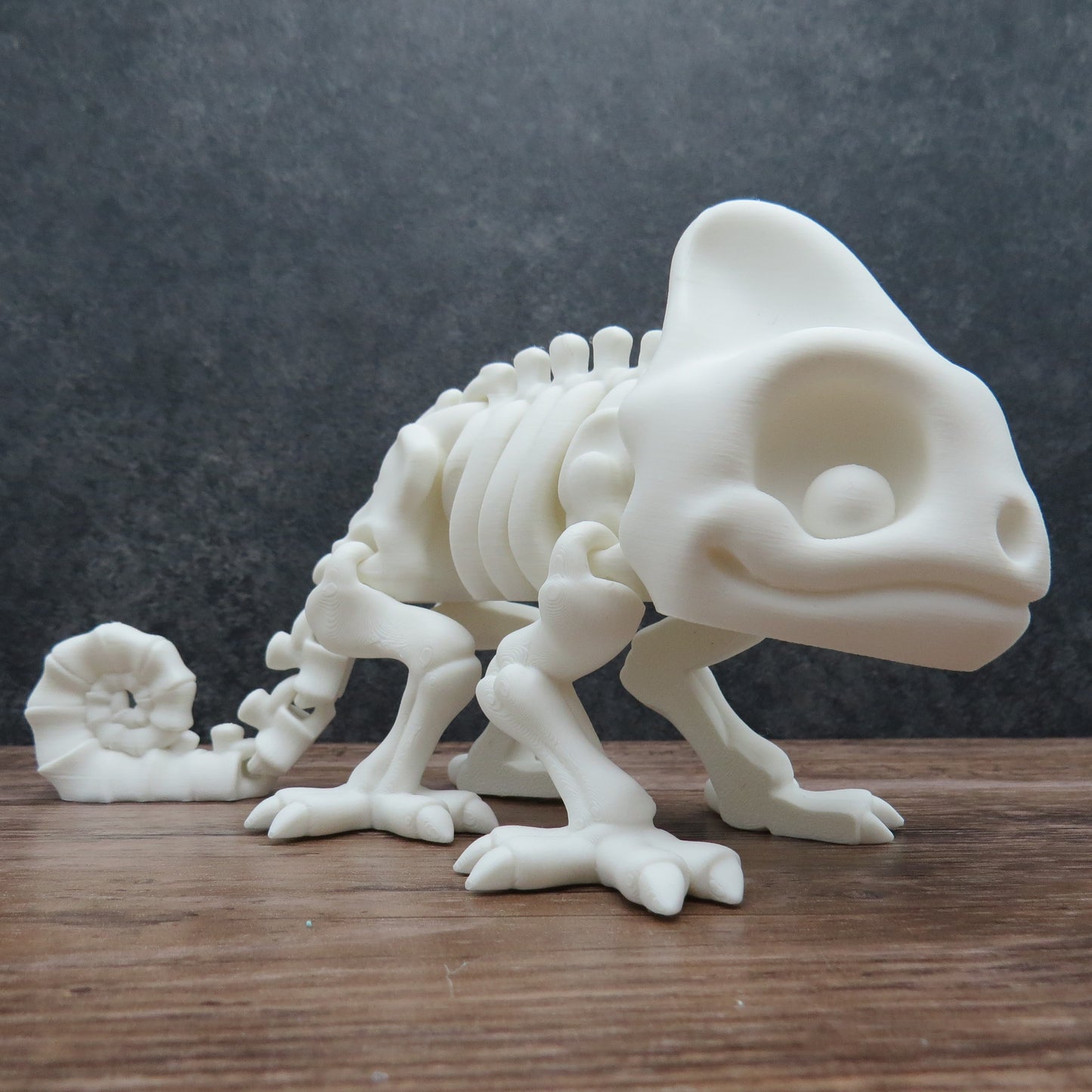 Articulated Chameleon Skeleton