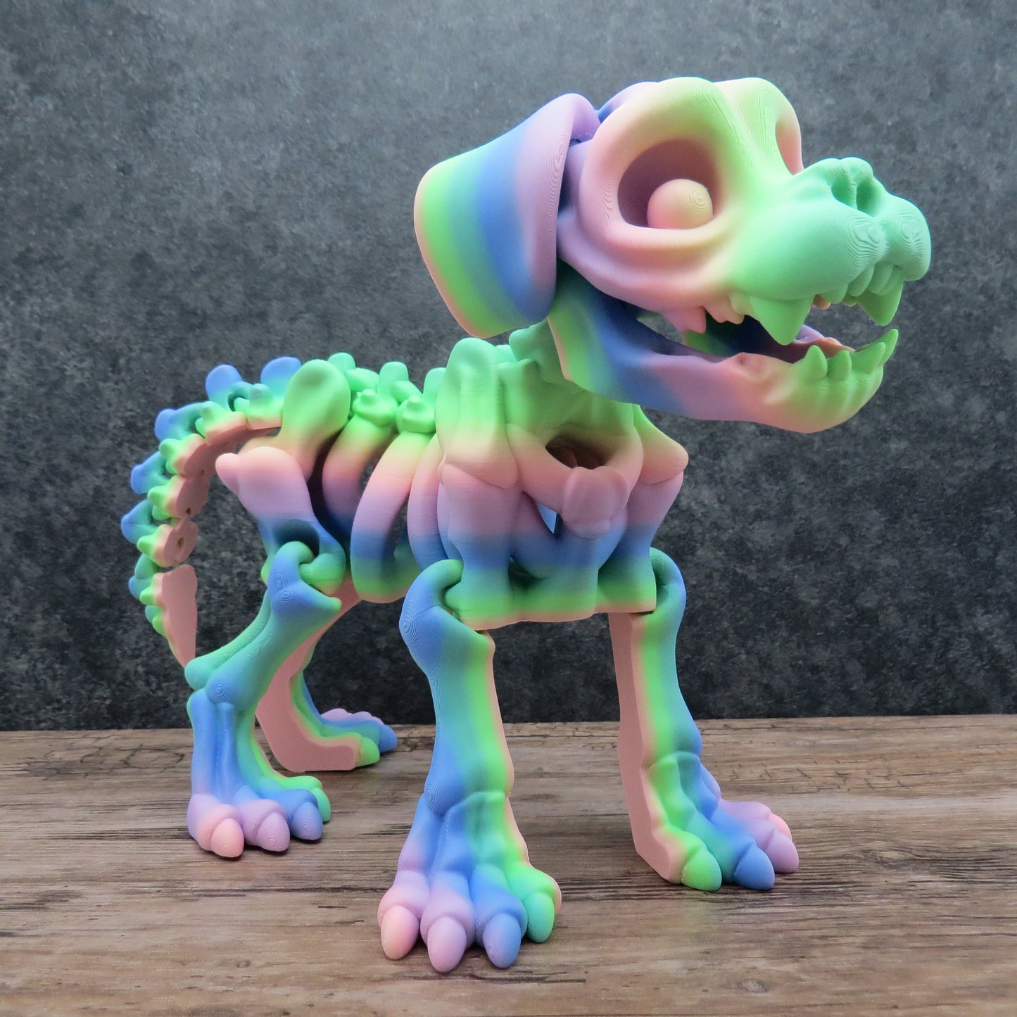 Articulated Rainbow Dog Skeleton