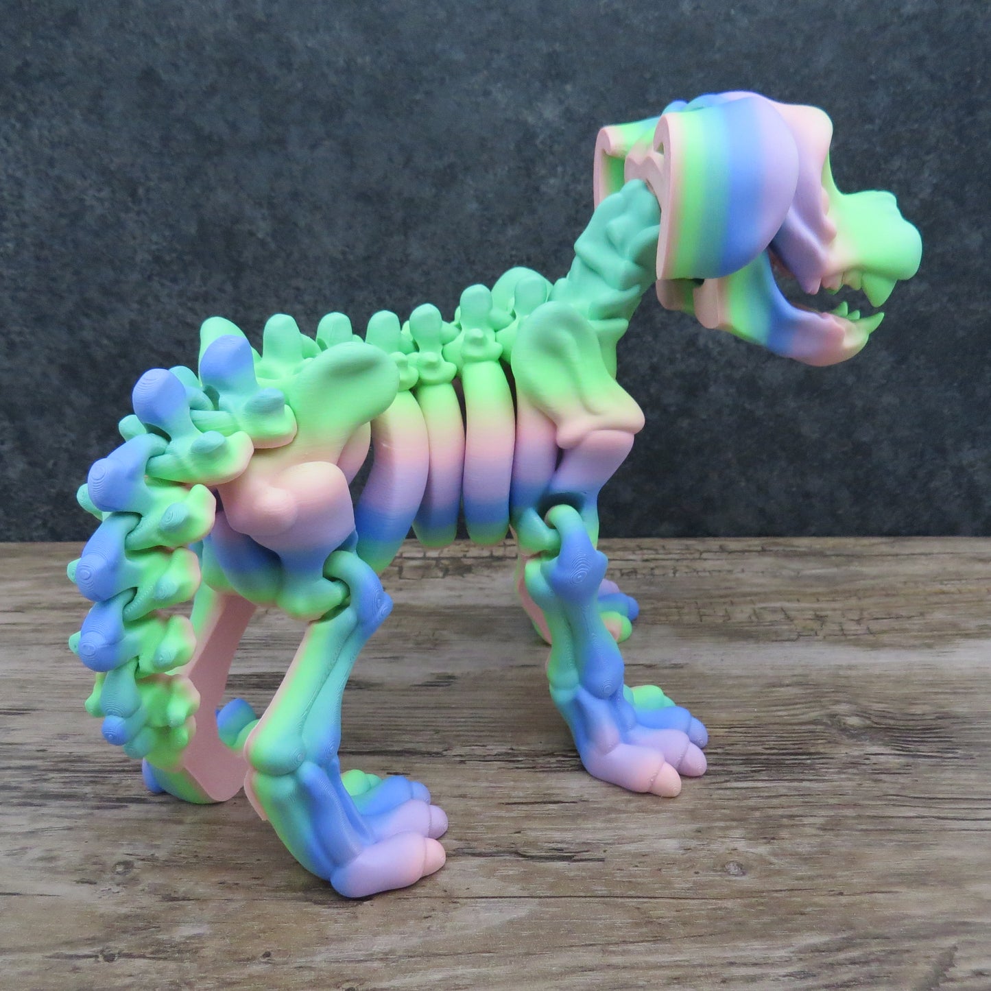 Articulated Rainbow Dog Skeleton