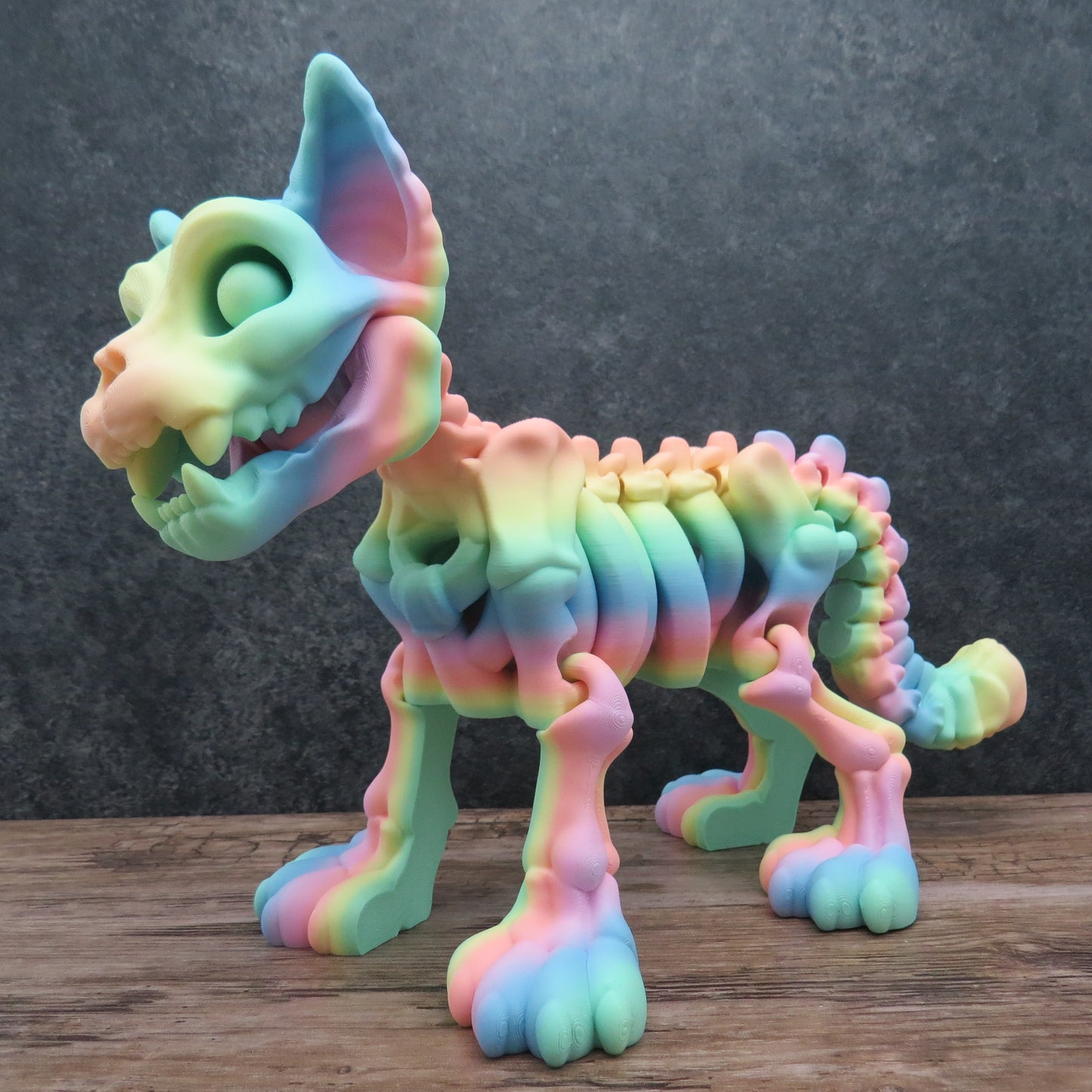 Articulated Rainbow Cat Skeleton