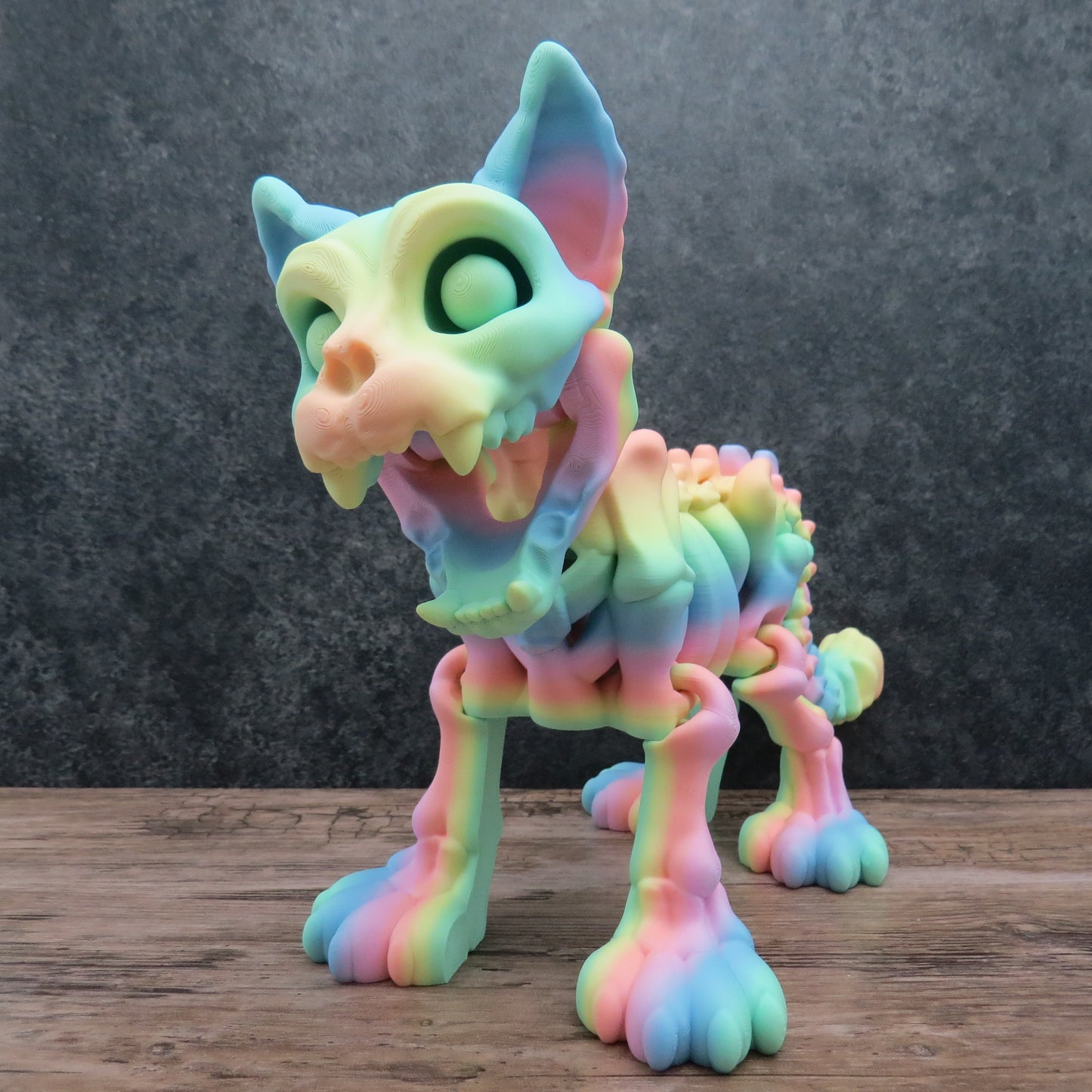 Articulated Rainbow Cat Skeleton