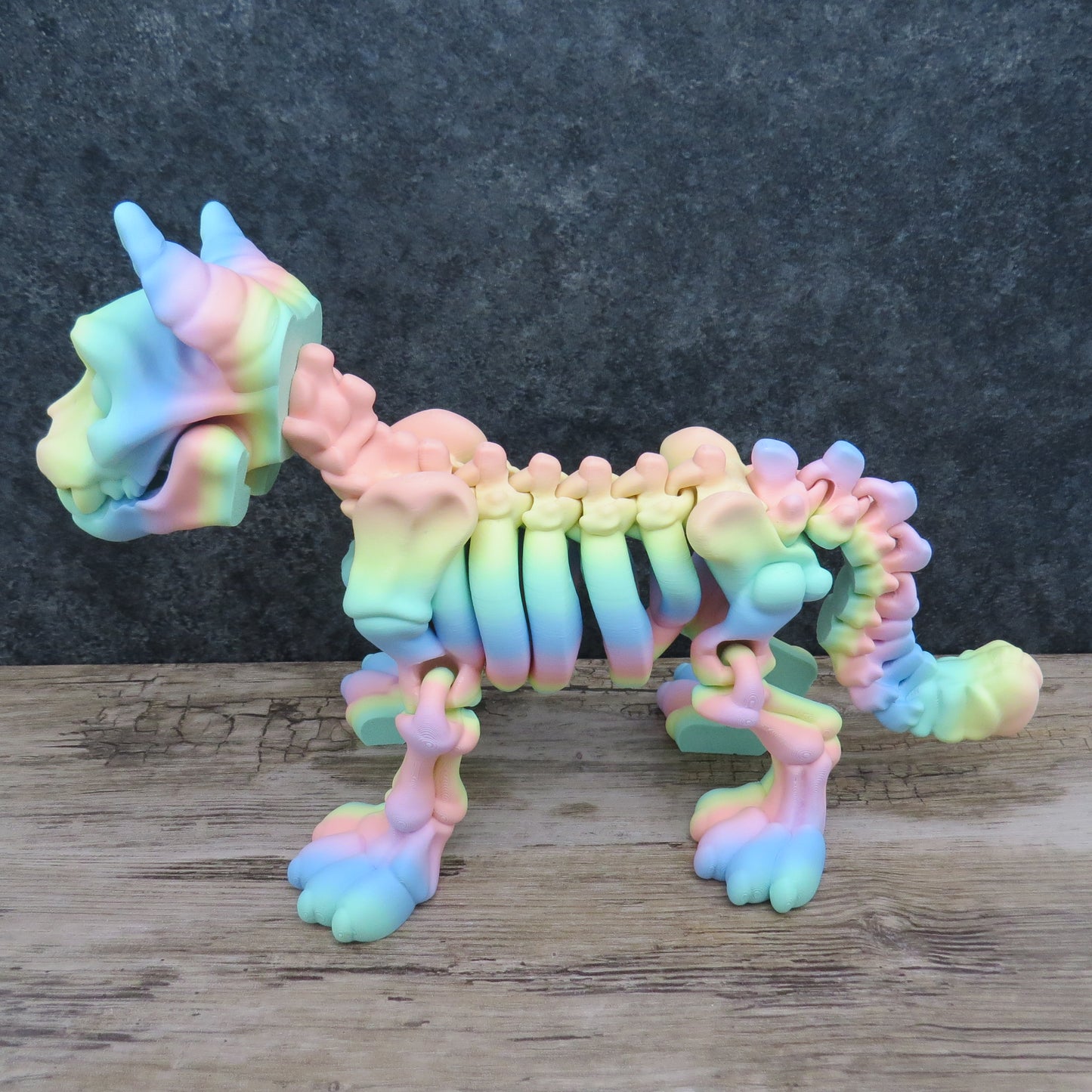 Articulated Rainbow Cat Skeleton