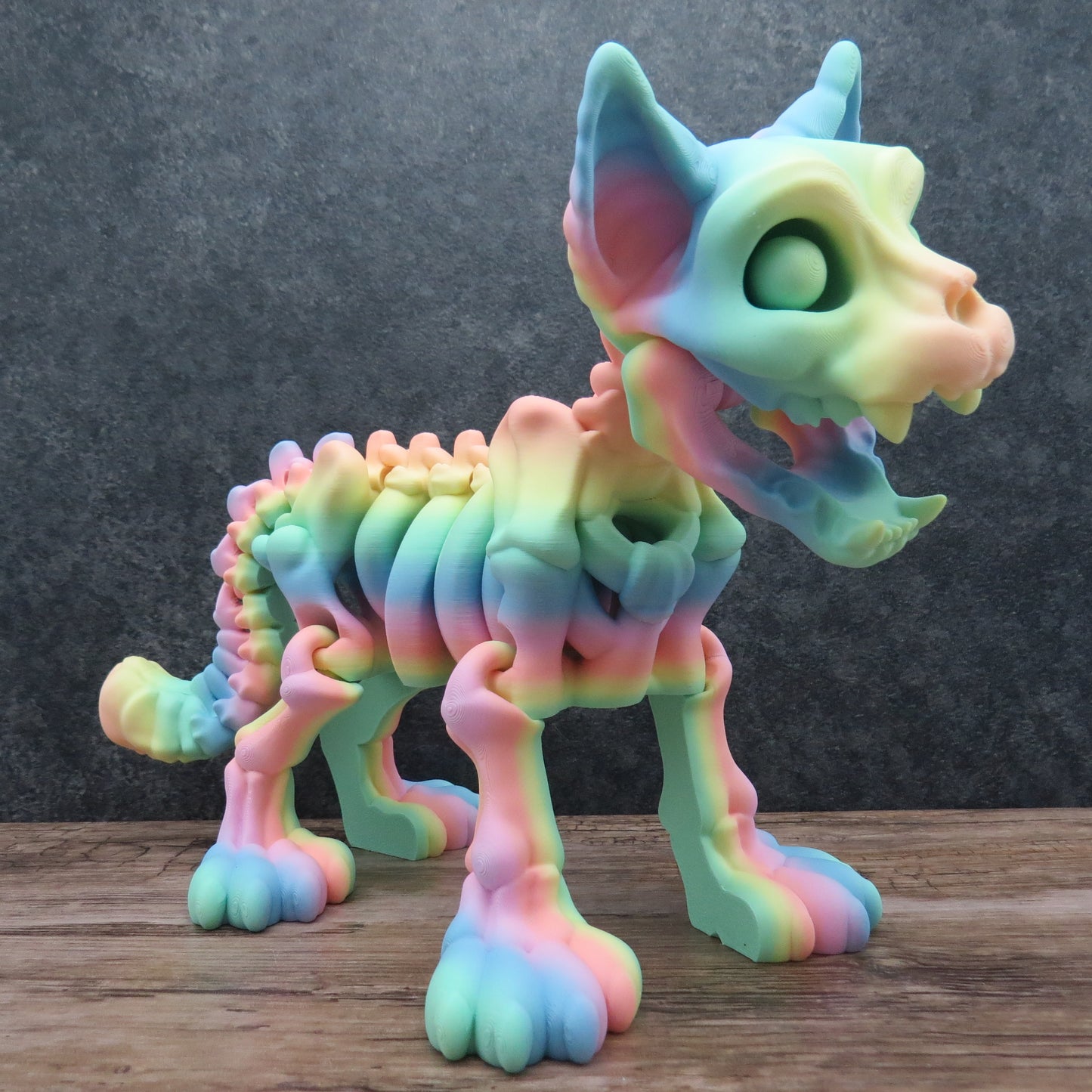 Articulated Rainbow Cat Skeleton