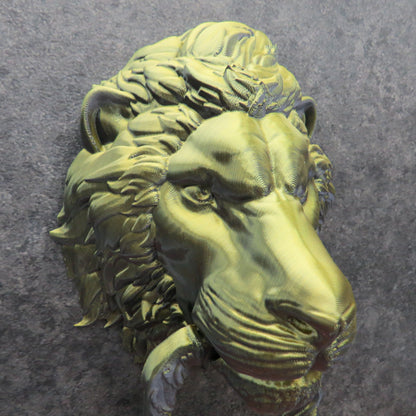 Lion Door Knocker