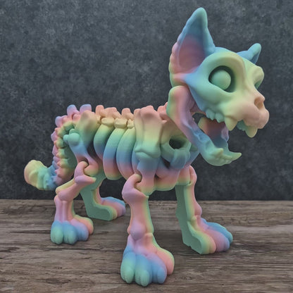 Articulated Rainbow Cat Skeleton